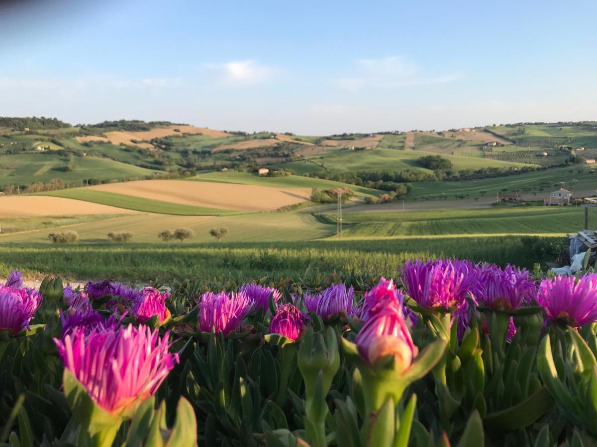 La Trave Bed & Breakfast Montecosaro  Exterior photo