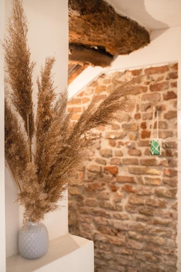 La Trave Bed & Breakfast Montecosaro  Exterior photo